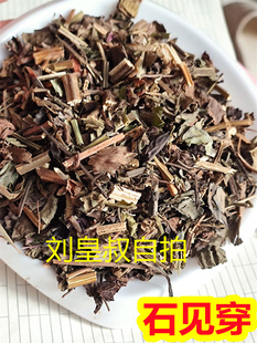 石见穿 中药材新货 石打穿 石见川 紫参 月下红 新鲜晒干500g实物