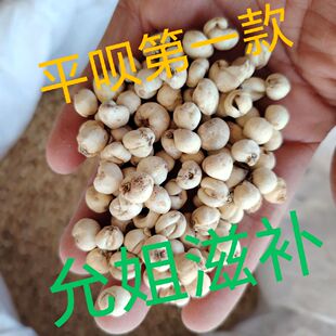 长白山贝母贝母自然生长平贝母长白山平贝东北特产平贝母无硫真品