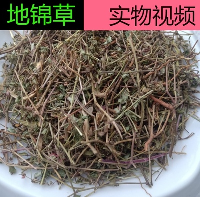 中药材 地锦草 小飞扬草奶汁草 红莲草斑雀草天然纯新货 铁线草