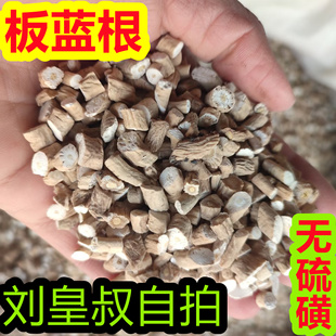 中药材板蓝根板兰根片板蓝根茶板蓝根块500g克另有大青叶