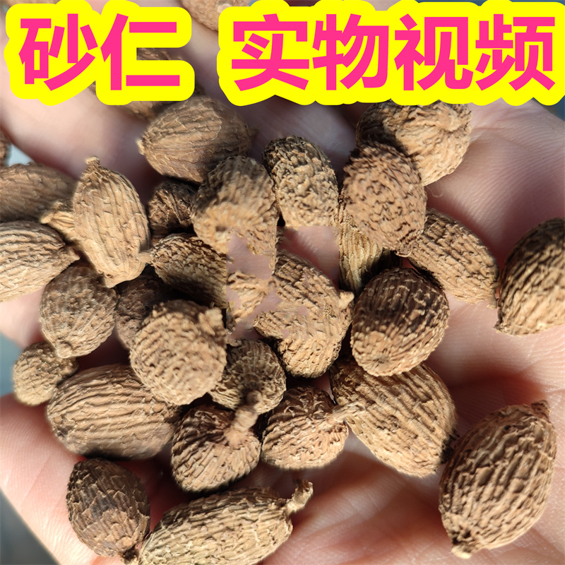 砂仁中药500g实物正宗无硫砂仁毛砂仁沙仁煲汤泡水养胃茶售阳春砂