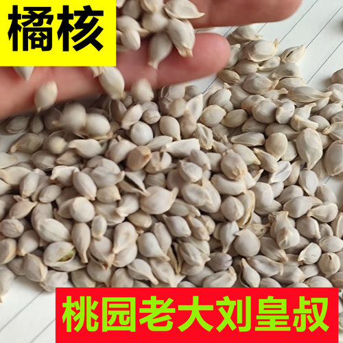 橘核中国中药材农产品正品
