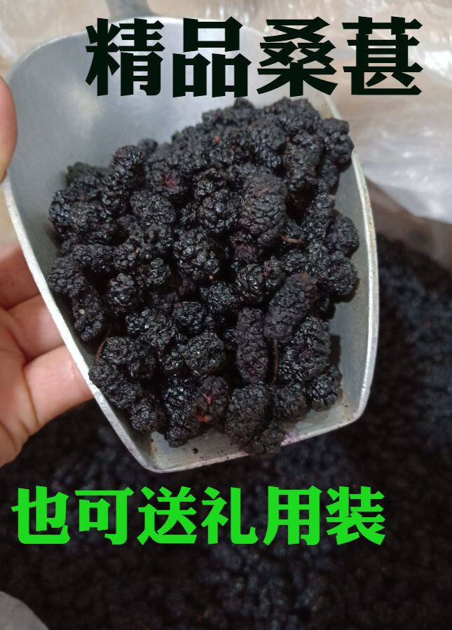 新鲜新疆野生黑桑葚干无沙桑甚干免洗500g桑椹子非桑葚果特级泡茶