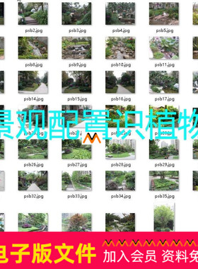 Z261现代住宅小区园林绿化景观设计植物配置搭配组合图片认识植物