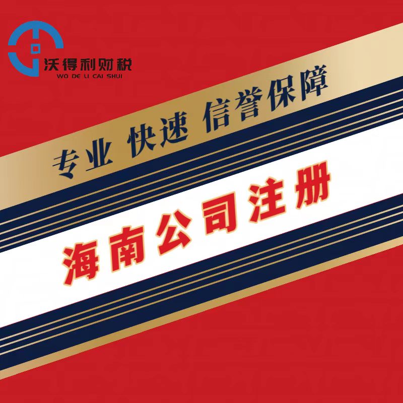 海南海口三亚本地公司注册注销代理记账报税营业执照代办工商代办