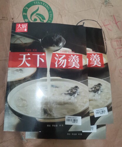 正版中国大厨系列天下汤羹 山东齐鲁音像出版公司 辛燕 手品相