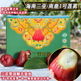 三亚响鲜南鹿一号1号有机莲雾礼盒装新鲜水果客户商务高档伴手礼