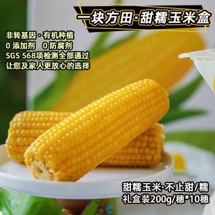 非转有机一块方田·甜糯玉米礼盒装健康长辈方便速食孕妇儿童辅食