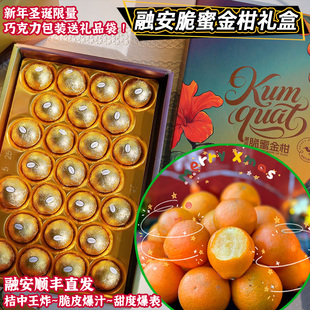 顺丰广西脆蜜金柑橘金桔子费列罗礼盒装水果送女友客户商务伴手礼