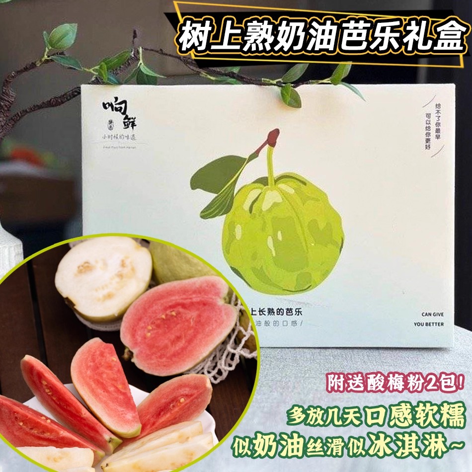 顺丰直发正宗树上熟红白奶油芭乐