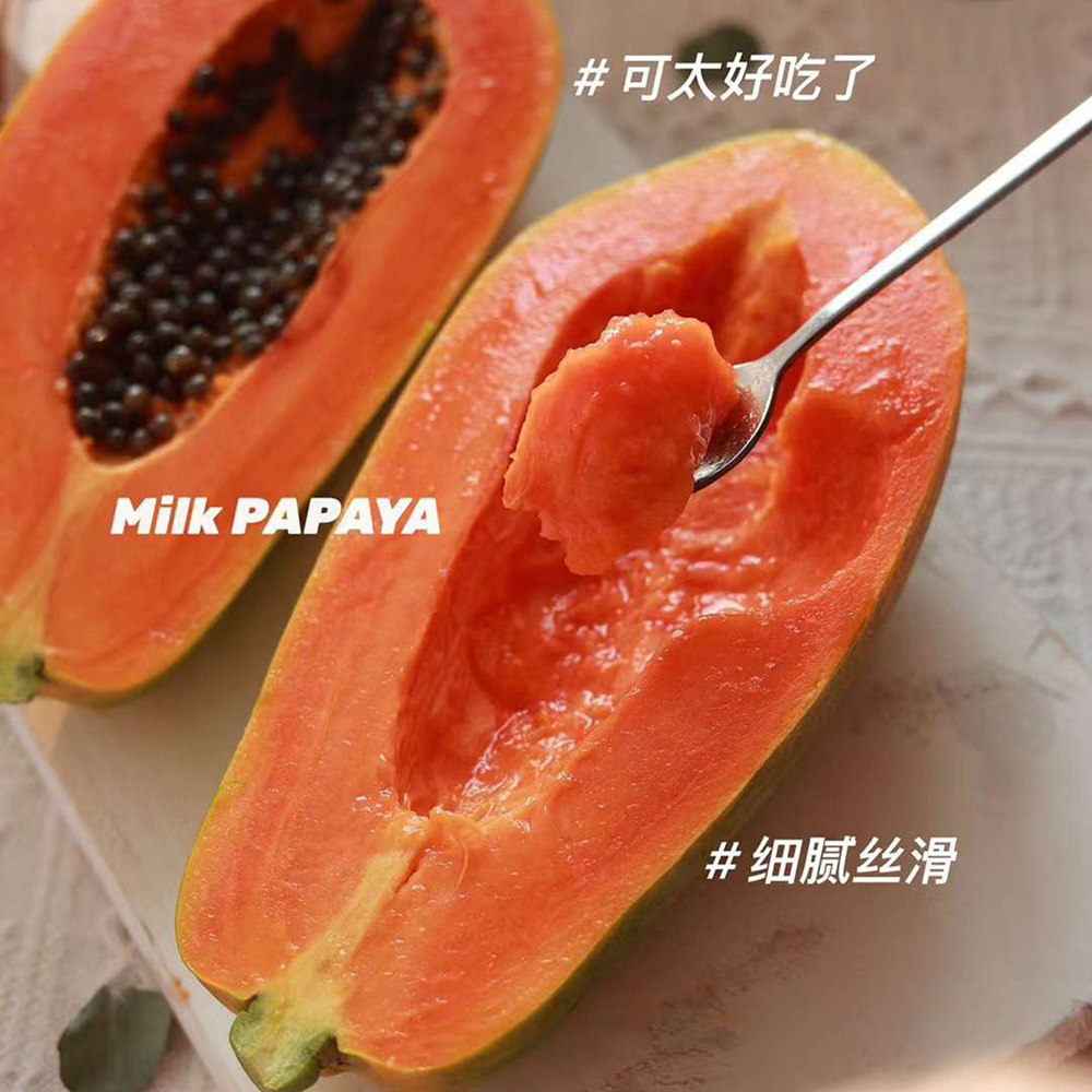 顺丰直发海南树上熟红心牛奶木瓜礼盒装新鲜送长辈女友美味伴手礼