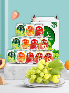 九日韩国进口果汁饮料 富含果粒果肉整箱多口味组合装 238ml*12罐