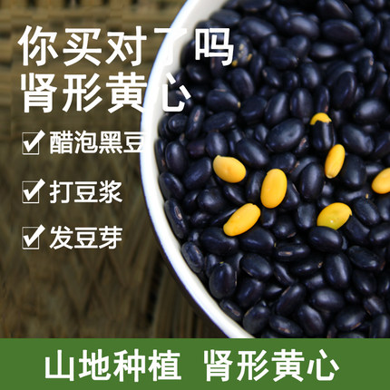 老种黑豆新货农家种植黄心肾形黄芯小黑豆黄豆五谷杂粮打豆浆