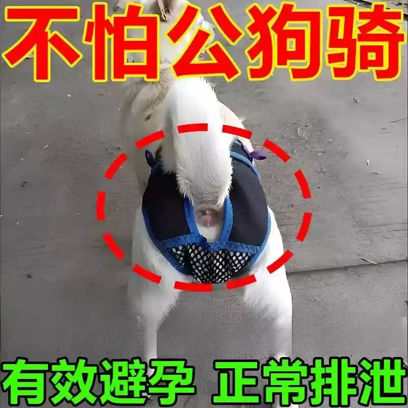 狗狗避孕裤可排泄裤防狗发情