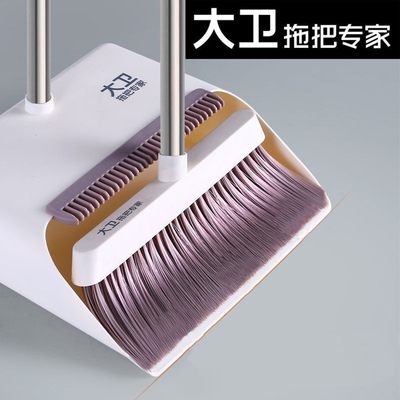扫帚客厅扫把簸箕大卫软毛