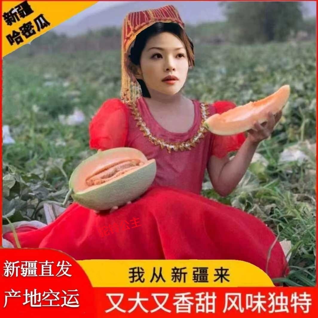 新疆哈密瓜八六王薄皮黄蜜甜网纹西州蜜新鲜水果正宗淖毛湖哈蜜瓜
