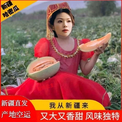 新疆哈密瓜八六王薄皮黄蜜甜网纹西州蜜新鲜水果正宗淖毛湖哈蜜瓜