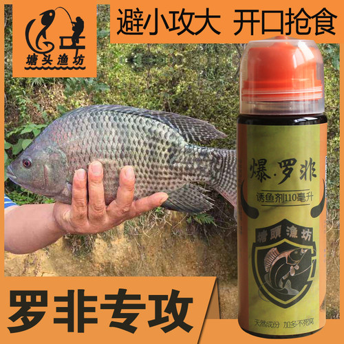 爆罗非钓鱼小药大福寿鱼饵料大罗非鱼赤尾青冻料冷冻饵窝料诱食剂 - 封面