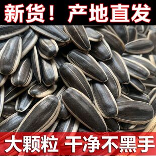 新货生瓜子5斤葵花籽年货大颗粒炒货散装 休闲零食下午茶瓜子批发