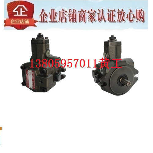 台湾盛菖TCMC叶片泵TC6VP-F20-A3/A1/A2/A4-02 F15 F23 F26