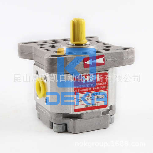 法国HPI齿轮泵P1CBN1003CL20C01N