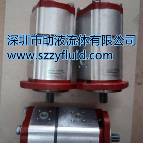 意大利萨拉米齿轮泵salmi液压泵3PB46D-G87S3-PUMP