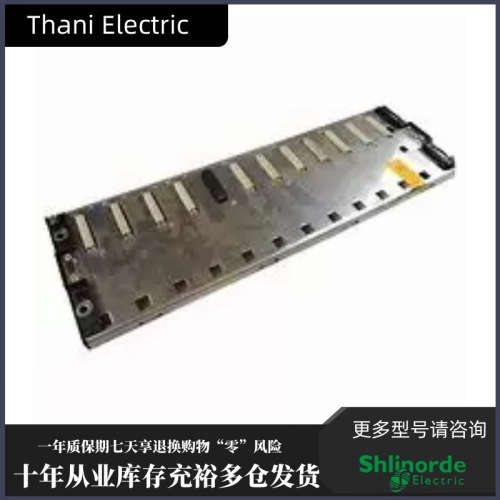 TSXRKY12EX 法国 Schnaider 正品 PLC 模块