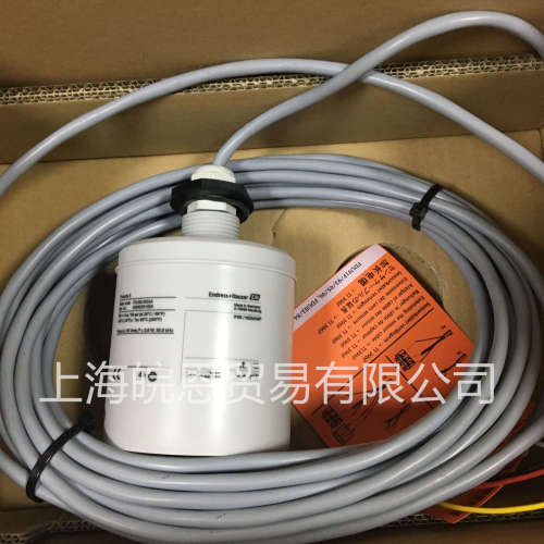 德国E+H分体式超声波液位计FDU91-RG1AA/RG2AA/RN1AA/RN2AA原装