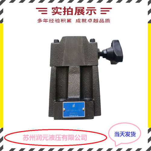 上海立新先导式卸荷阀DAW20B-2-L5X/5-17Y-6G24NZ5L