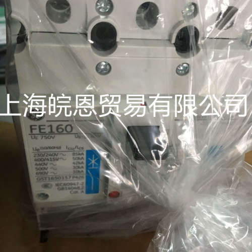 全新正品 FDS46TD125GD FDS46TD160GD FDN36TD016ED德国AEG断路器