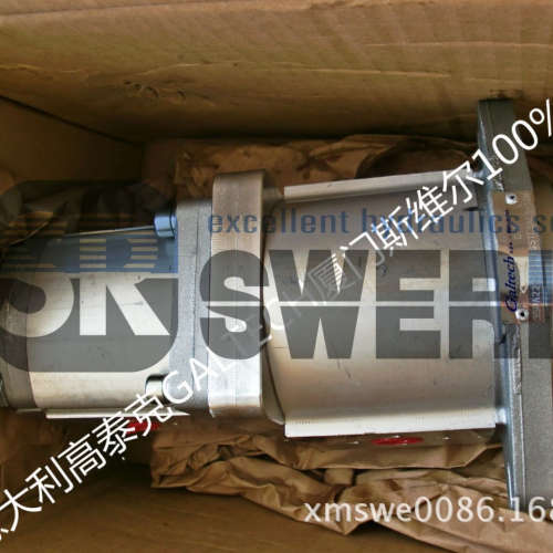 3SPA22 2SPA16STCSAEB-13N 意大利高泰克GALTECH齿轮泵优势供应