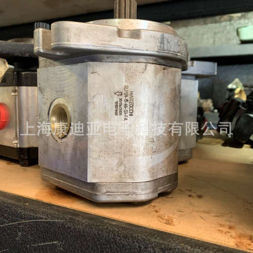 意大利马祖奇Marzocchi液压泵ALP3A-D-66-S1-FA