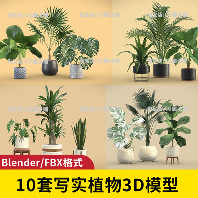 blender写实植物3d模型盆栽装饰逼真渲染fbx