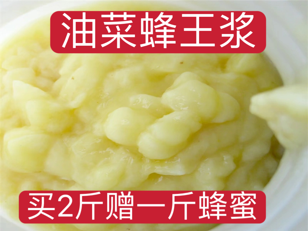 2025年蜂王浆野生春油菜蜂皇浆新鲜纯正天然高活性正品鲜活