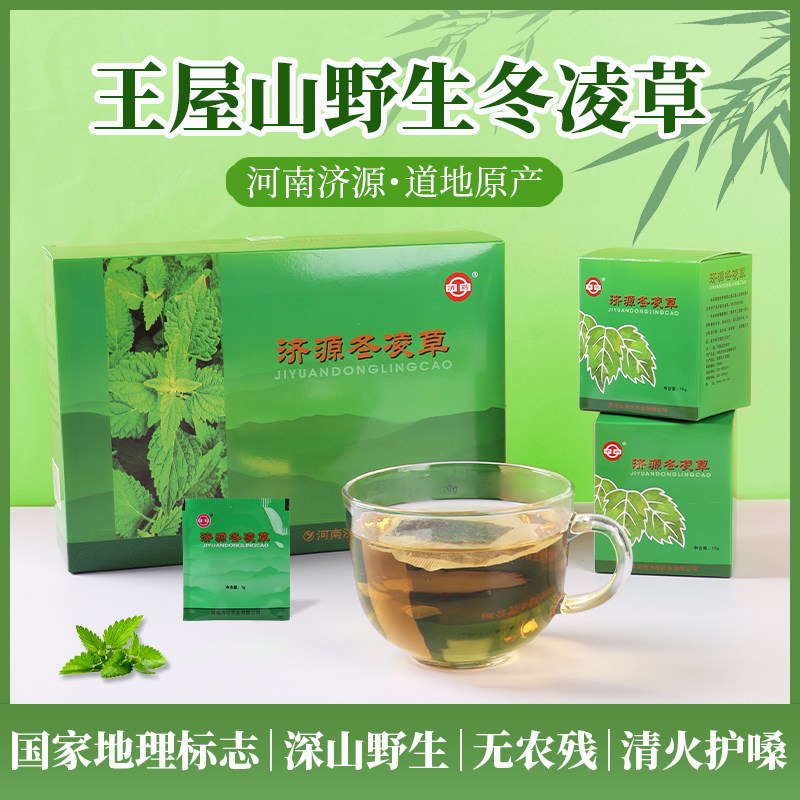济世冬凌草袋泡袋冬凌叶济源王屋山特产润喉送老师用嗓多人群常备