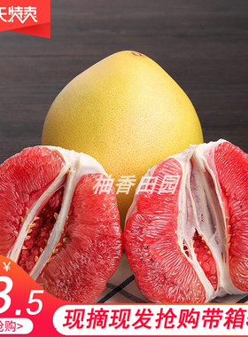 新鲜水果包邮应当季时令红心柚子
