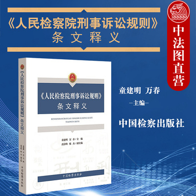 正版 2020新版 人民检察院刑事诉讼规则 条文释义 童建明 监检办案程序 刑辩律师实务工具书 刑事诉讼法司法解释 中国检察出版社