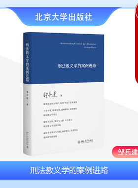 刑法教义学的案例进路