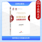 国资国企合规从业人员参考 正版 合同财税投资经营劳动用工合规管理体系实务案例 锦天城法律实务丛书 法律 国资国企合规建设实务