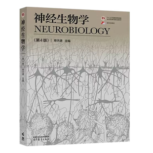 正版 神经生物学 第4版第四版 寿天德 高等教育出版社 高等院校生物科学生物技术信息科学医学专业神经生物学大学本科考研教材教程