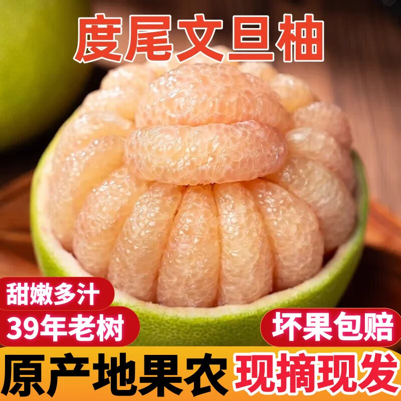 福建仙游度尾文旦柚红心当季