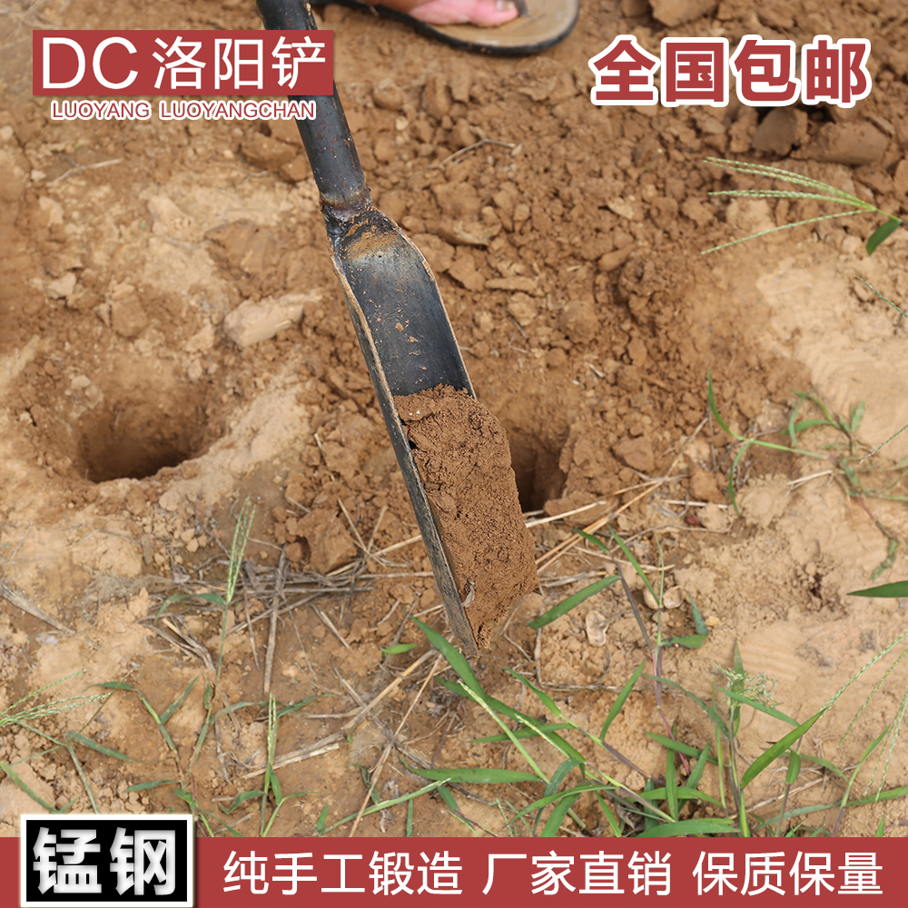 洛阳铲取土器铲子挖洞挖坑铁锹农用考古勘探工具打桩挖土神器铁铲 农机/农具/农膜 铲子 原图主图