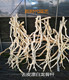 天然干树枝装 饰树枝枯枝白树枝造型树枝橱窗道具树枝枯树枝干枝