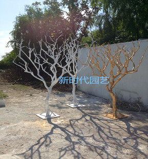 干树枝干枝白树枝许愿树枯树白色树装饰橱窗展厅婚庆树装饰树白树