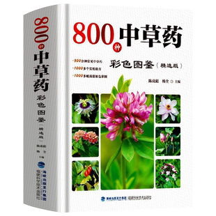 800种中草药彩色全图鉴精选版 中草药抓配彩图大全书 中药材大百科本草纲目彩色图鉴 中医基础理论中草药识别中医养生药学实用验方