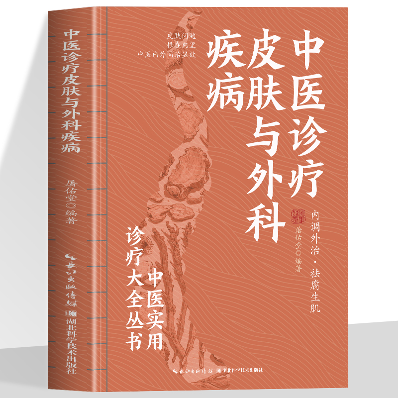 中医诊疗皮肤与外科疾病 中医实用诊疗大全 内调外治 去腐生肌中医外治临床丛书药物外治法中医外科学皮肤科学贴敷书中医自学基础