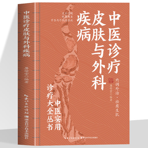 中医诊疗皮肤与外科疾病 中医实用诊疗大全 内调外治 去腐生肌中医外治临床丛书药物外治法中医外科学皮肤科学贴敷书中医自学基础