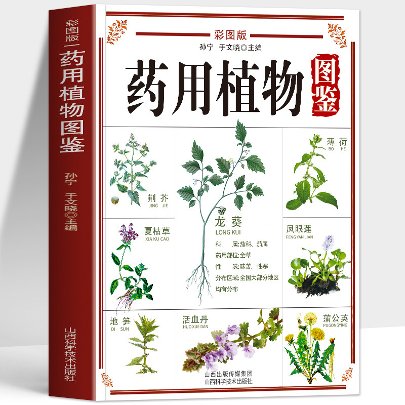 正版 药用植物图鉴 彩图版 户外草药识别图谱药用植物辨别图鉴与食用宜忌功效指南书 中草药识别图鉴书籍 中医草药识别药材图谱
