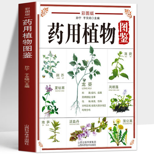正版 药用植物图鉴 彩图版 户外草药识别图谱药用植物辨别图鉴与食用宜忌功效指南书 中草药识别图鉴书籍 中医草药识别药材图谱