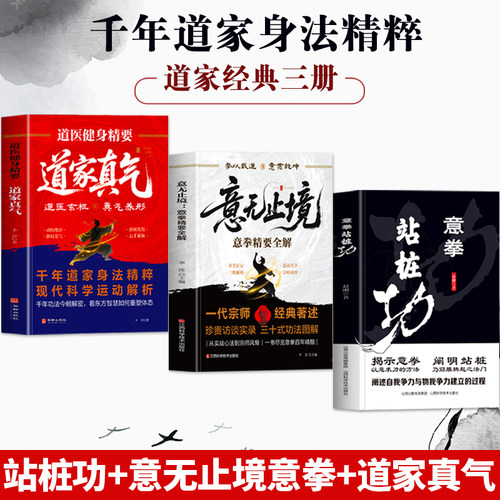 正版3册 意拳站桩功 意无止境意拳精要全解 道家真气道医健身精要 道家经典书籍站桩健身养生法 武术经典中国传统内家拳术养生书籍